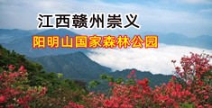 大鸡吧操屁眼视频